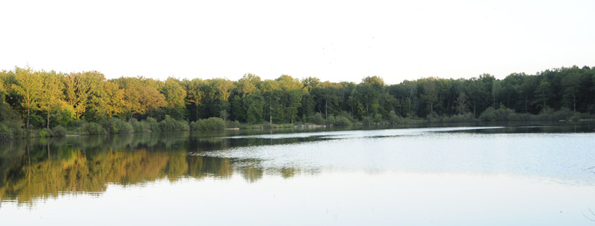 Actions, propriétés, bois, étangs pour la chasse et la pêche