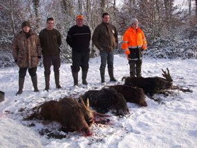 Chasse chevreuil à l'affût