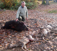 Chasse au chevreuil