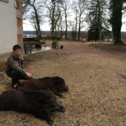 Jeune chasseur de France