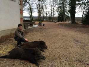 Jeune chasseur de France