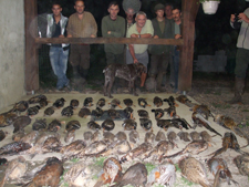 Chasse a la journée petit gibier en france.