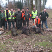 Chasse Grand Gibier