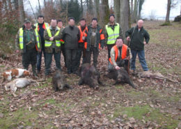 Chasse Grand Gibier