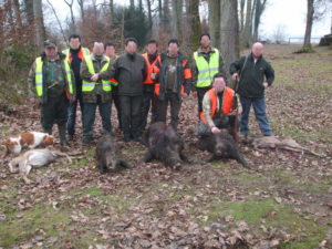 Chasse Grand Gibier