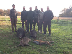 Week-end chasse aux sangliers dans la Nièvre en Bourgogne