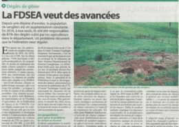 Article journée de chasse aux sangliers