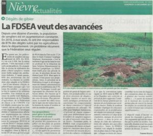 Article journée de chasse aux sangliers