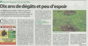 Article dégât sangliers